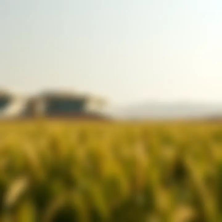 Magnificent Exploring the Wheatfields of Al Ghadeer: An Insight into Dubai’s Real Estate Landscape