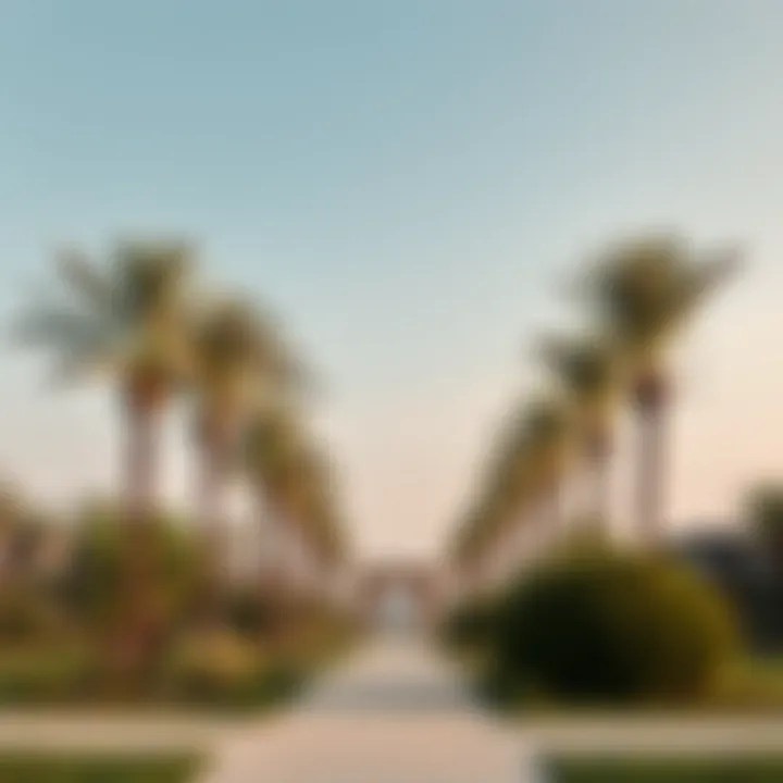 An In-Depth Exploration of Al Jada Park Summary
