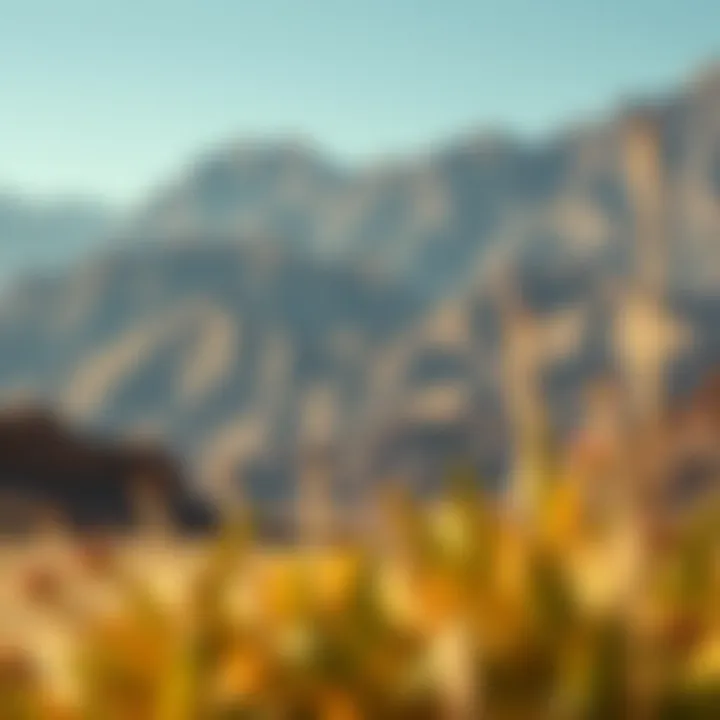 Stunning landscape of the Hajar Mountains in the eastern UAE