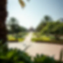 Scenic view of Al Mamzar Park showcasing lush greenery
