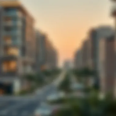 Residential Demographics in Dubai's Real Estate Market Visual representation of residential demographics in Dubai's market
