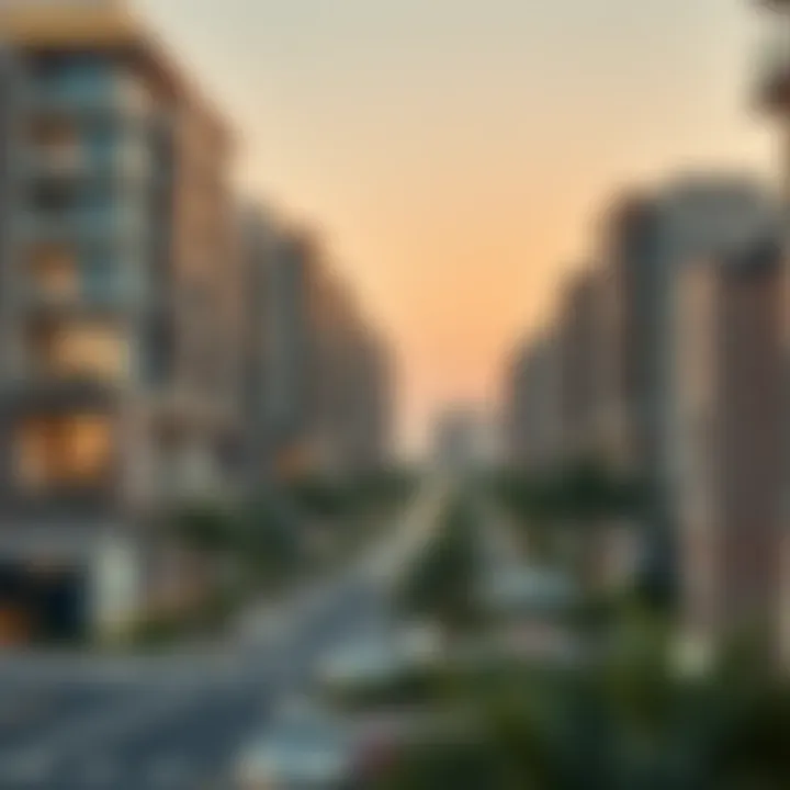 Residential Demographics in Dubai's Real Estate Market Visual representation of residential demographics in Dubai's market