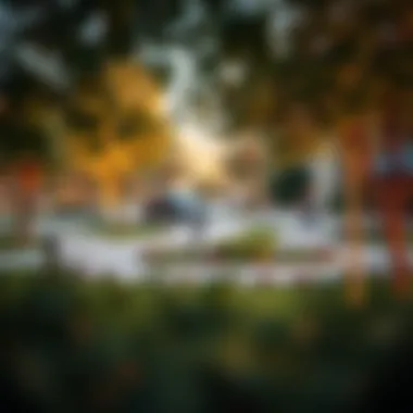 Community park and recreational areas in District One