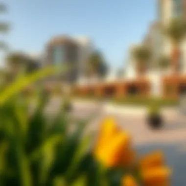 Community Wellness in Dreamland Deira Vibrant community park in Dreamland Deira promoting wellness and leisure