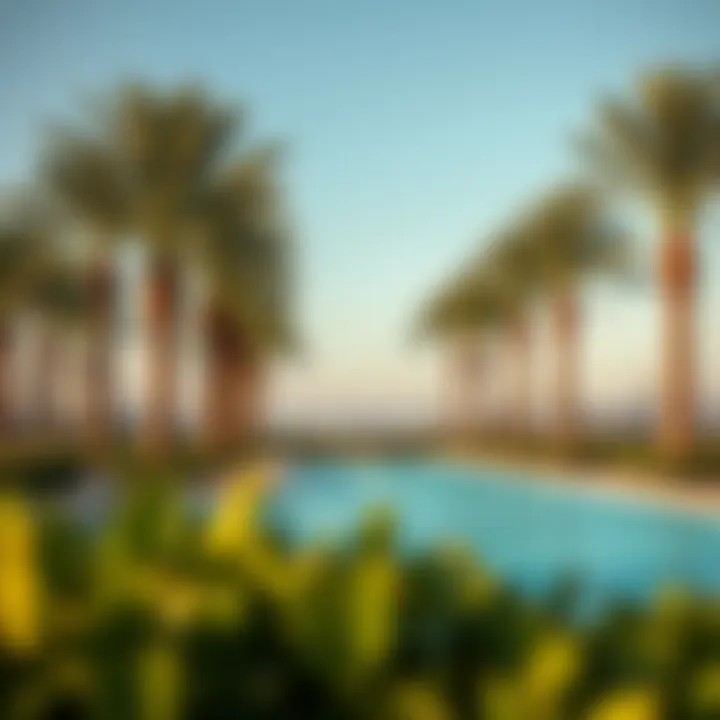 Recreational facilities available at Emirates Park Resort
