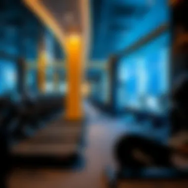Overview of GymNation's state-of-the-art fitness equipment