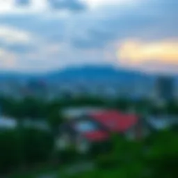 A scenic view of a vibrant urban landscape.