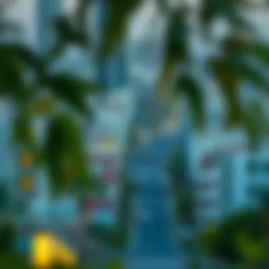 Emerging Neighborhoods in Dubai A stunning view of an emerging neighborhood in Dubai