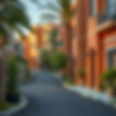 Vibrant Dubai neighborhood with one-bedroom flats