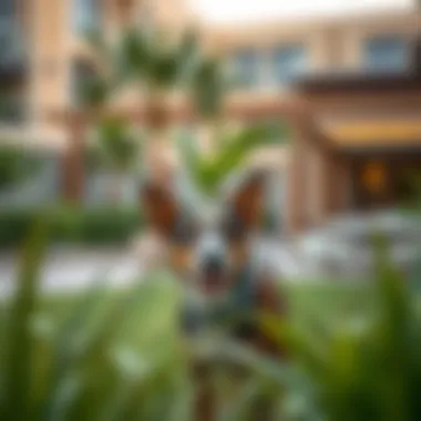 A residential area with pet amenities