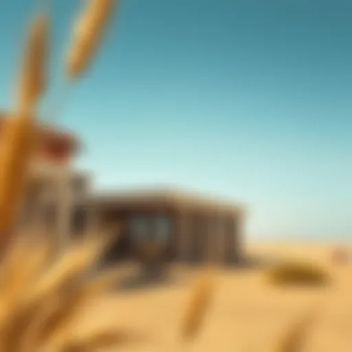 Exploring the Wheatfields of Al Ghadeer: An Insight into Dubai’s Real Estate Landscape Introduction