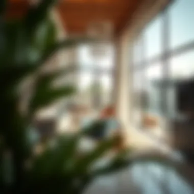 Luxury Interior of Dubai Farmhouse Luxurious interior design of a Dubai farmhouse