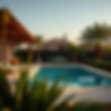 Stunning Outdoor Area with Pool Outdoor space with garden and pool at a Dubai farmhouse
