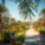 A panoramic view of Mamzar Park showcasing its lush greenery and serene environment.