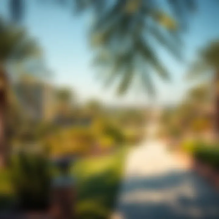 A panoramic view of Mamzar Park showcasing its lush greenery and serene environment.