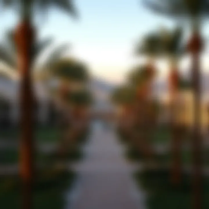 Serene landscape view of the hotel grounds surrounded by palm trees
