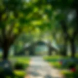 Lush greenery of Montazah Park showcasing its ecological design