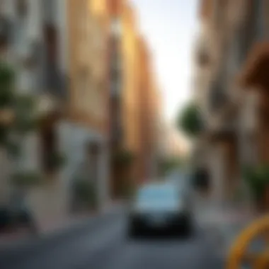 Charming neighborhood street in Dubai with various rental flats.