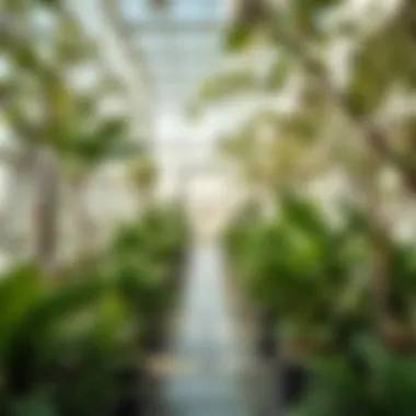 Sustainability initiatives at Shell Dubai Office represented through green spaces