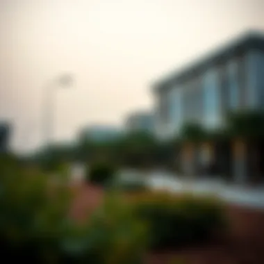 Environmental considerations of Salik costs