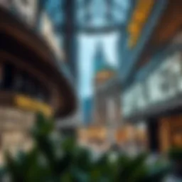 Visual Insights into Capital Mall Introduction