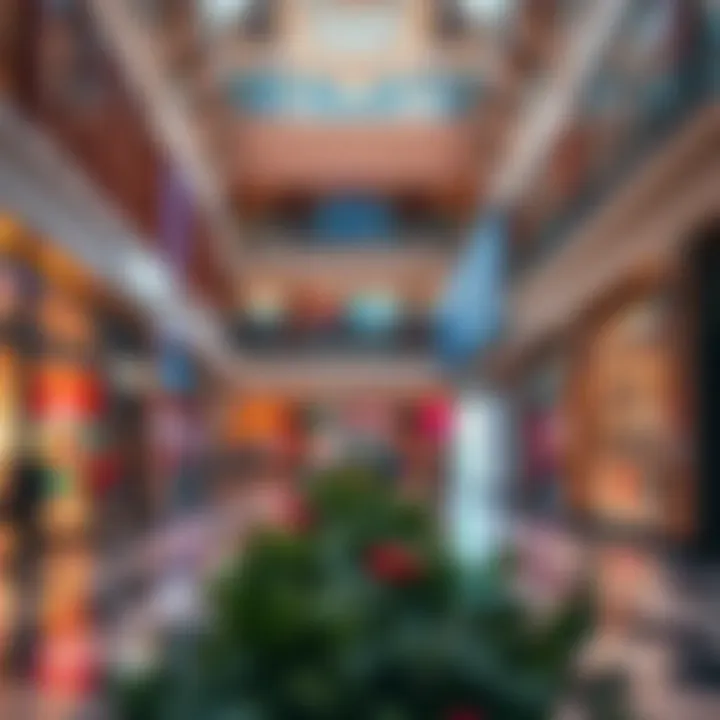 Notable Visual Insights into Capital Mall