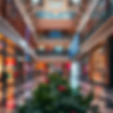 Notable Visual Insights into Capital Mall Notable Visual Insights into Capital Mall